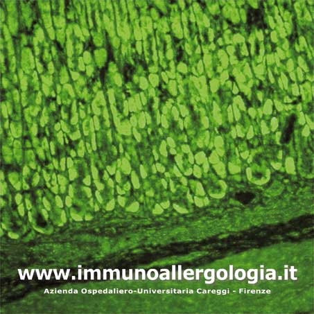 Immunoallergologia